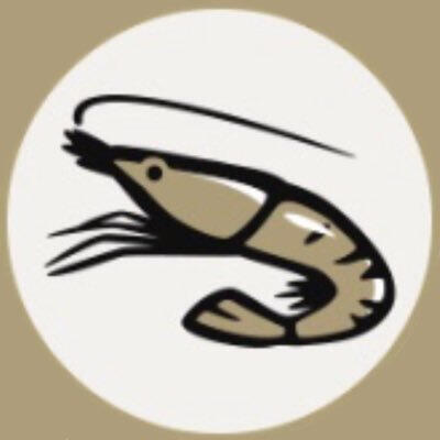 Krevett 𐂯 Icon & Rogue Outfit Design